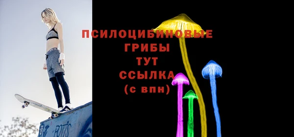 трава Абаза