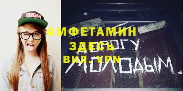 PSILOCYBIN Алзамай